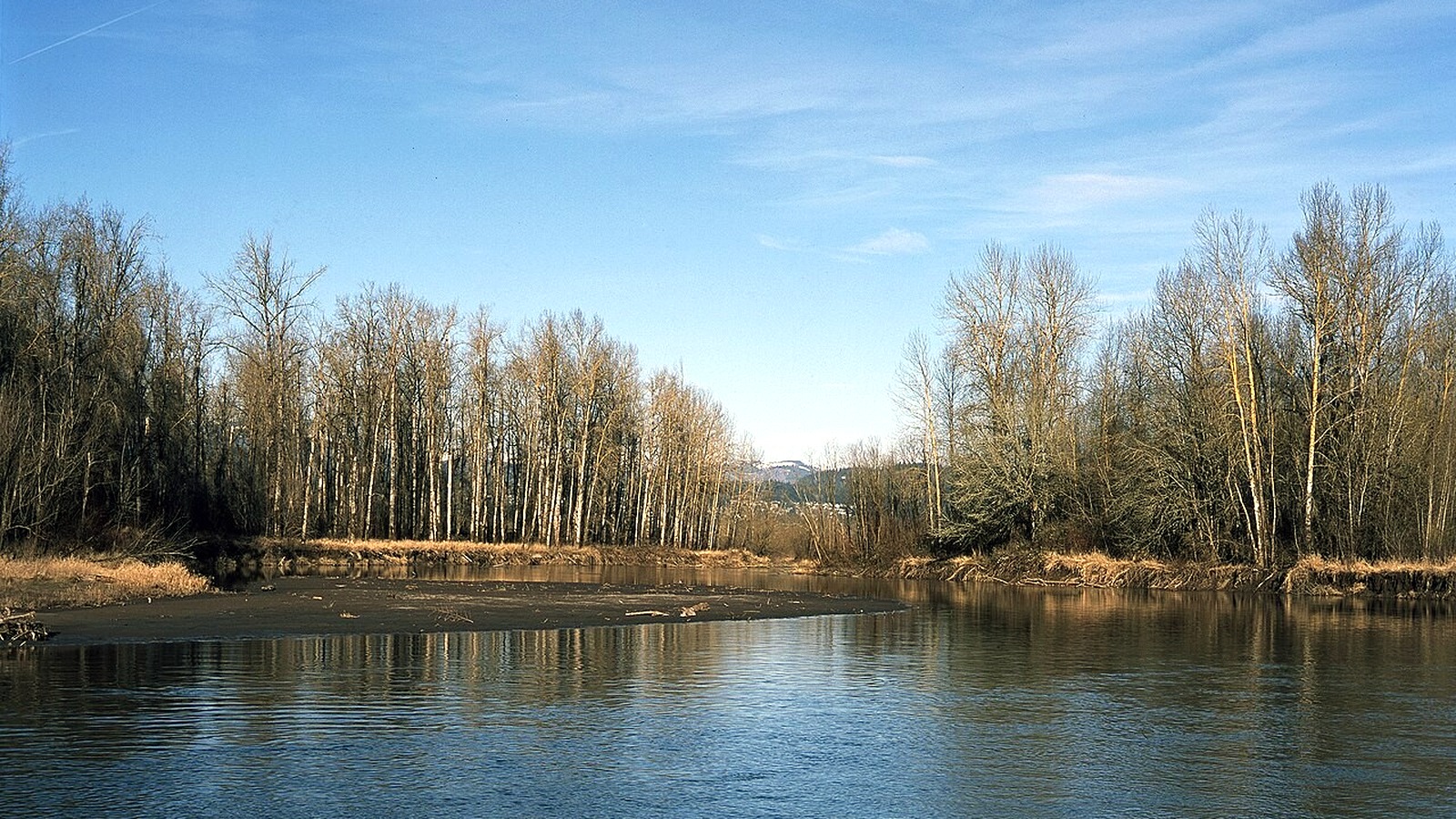 Sandy River Delta under a clear blue winter sky