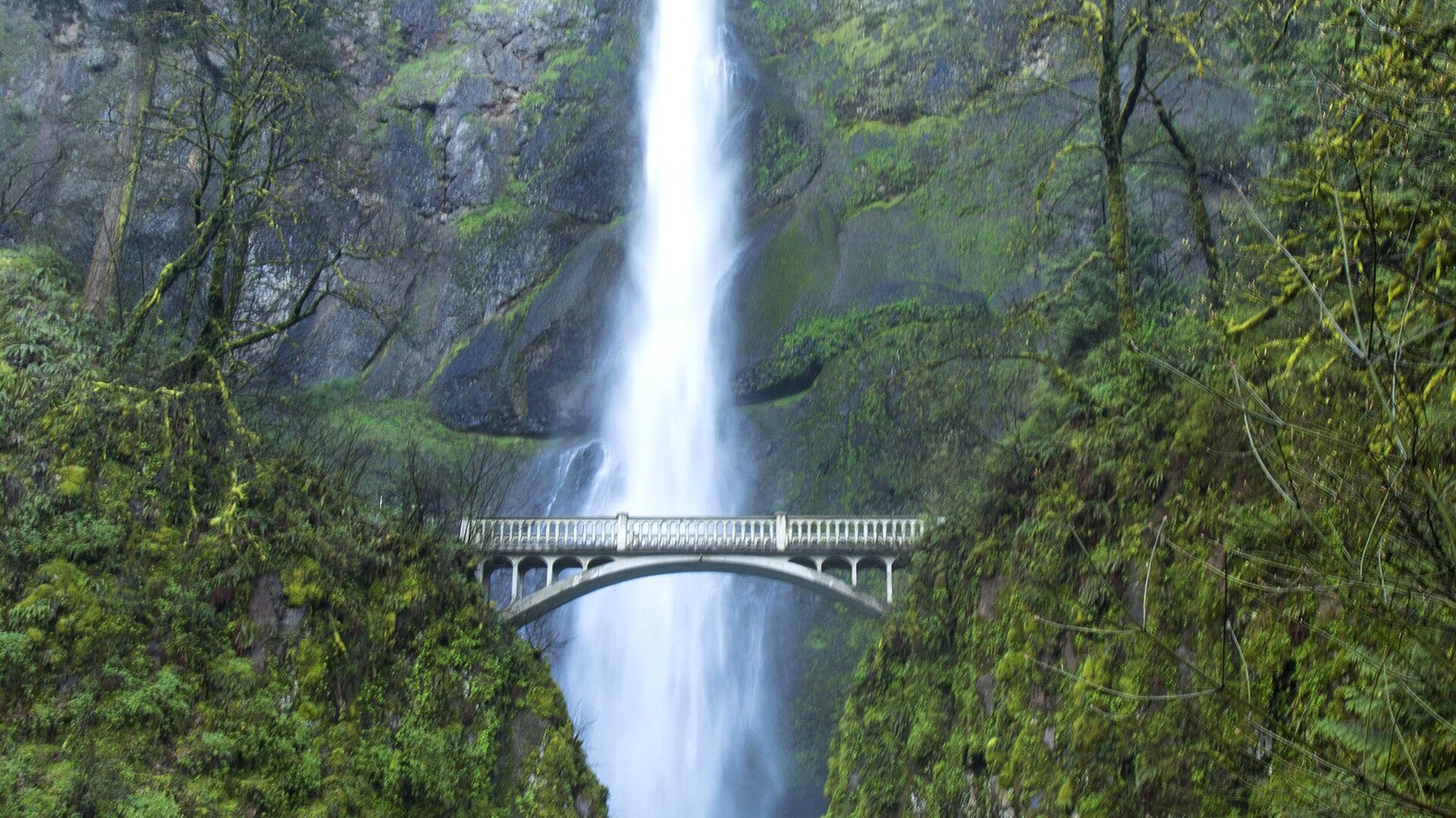 Multnomah Falls Hike: Viewpoints, Trail to the Top, and 2026 Access