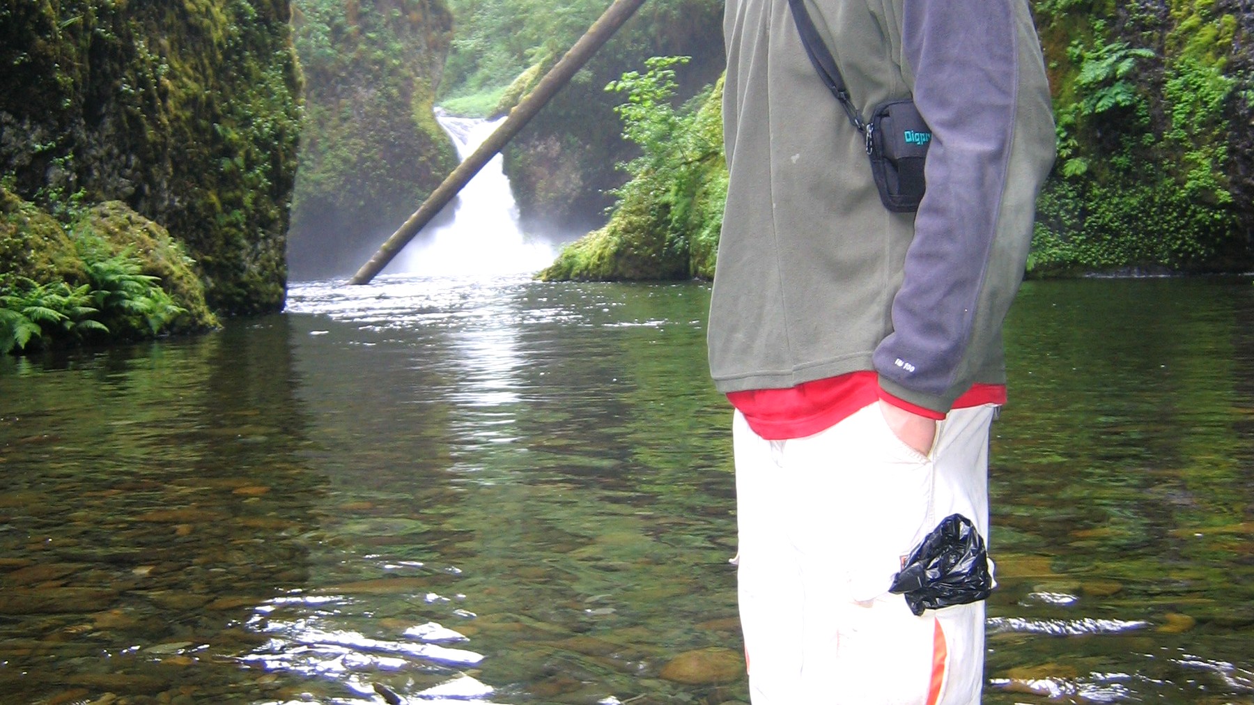 Lower Punchbowl Falls and its forested pool along Eagle Creek Trail