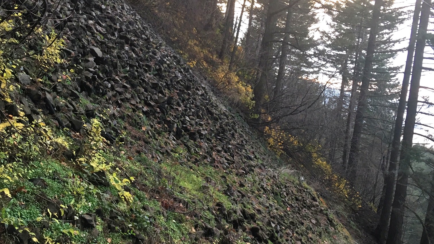 Rocky forest trail on the climb toward Angel's Rest