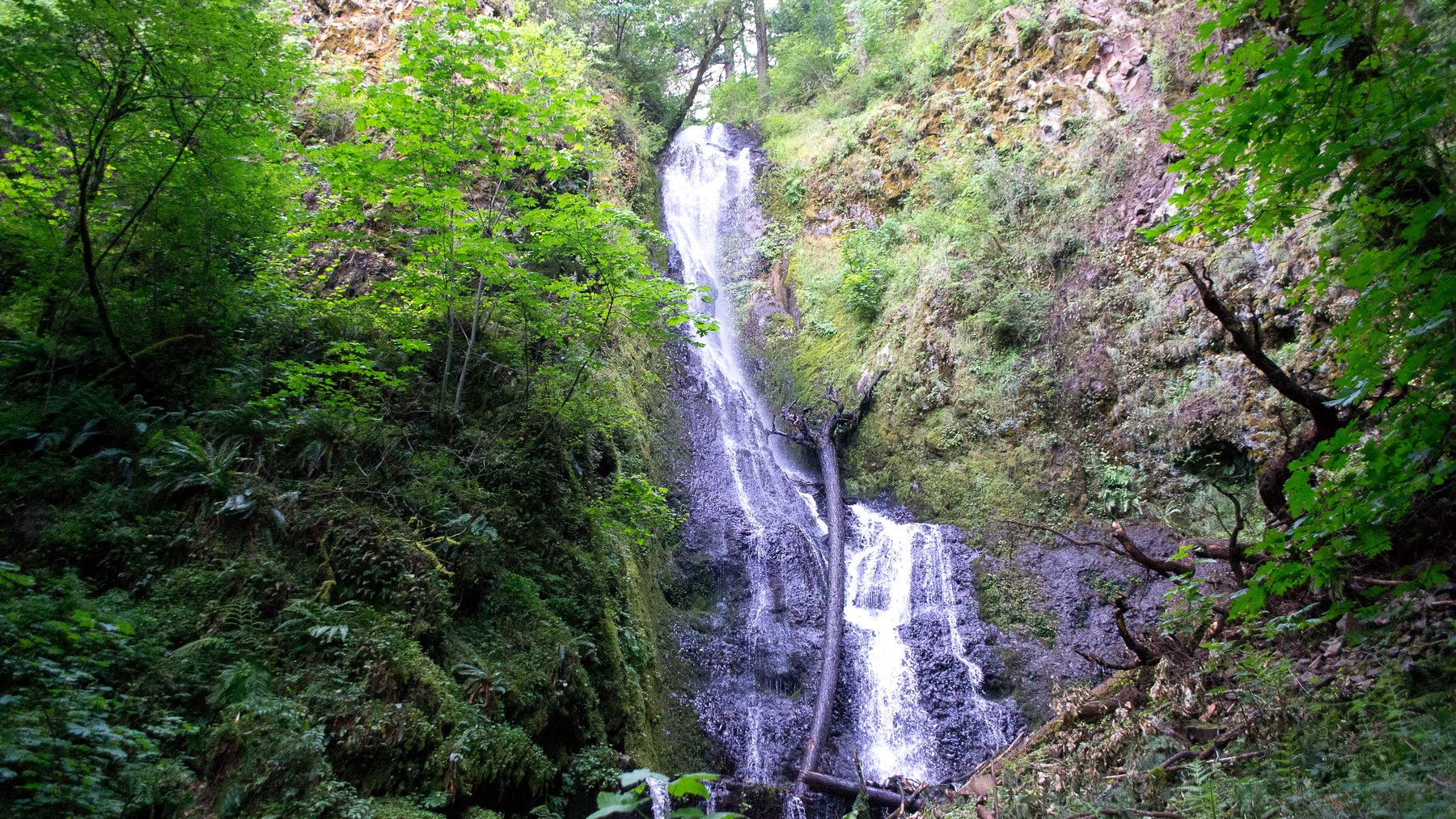 Coopey Falls beside the lower part of the Angel's Rest route