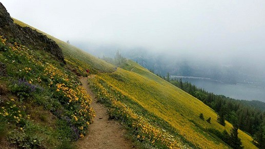 Dog Mountain Trail crossing an open spring slope above the Columbia River