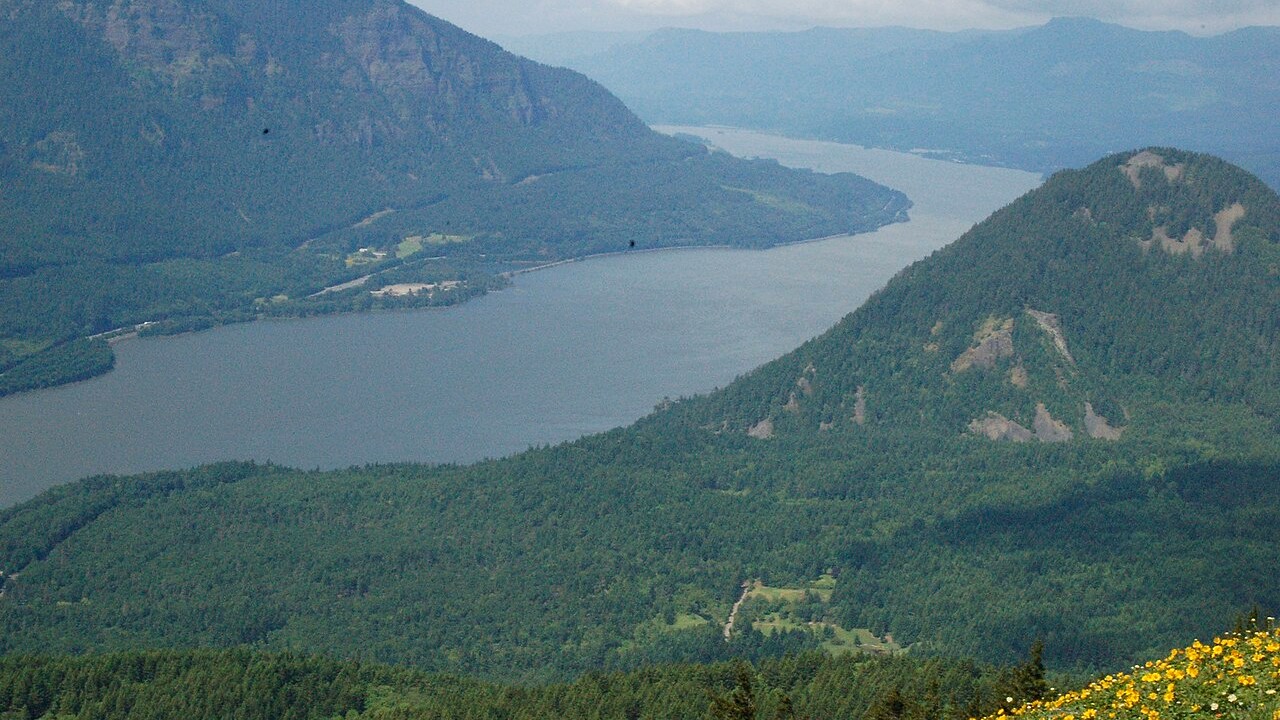 Dog Mountain Trail: Difficulty, Permits, and Wildflower Season