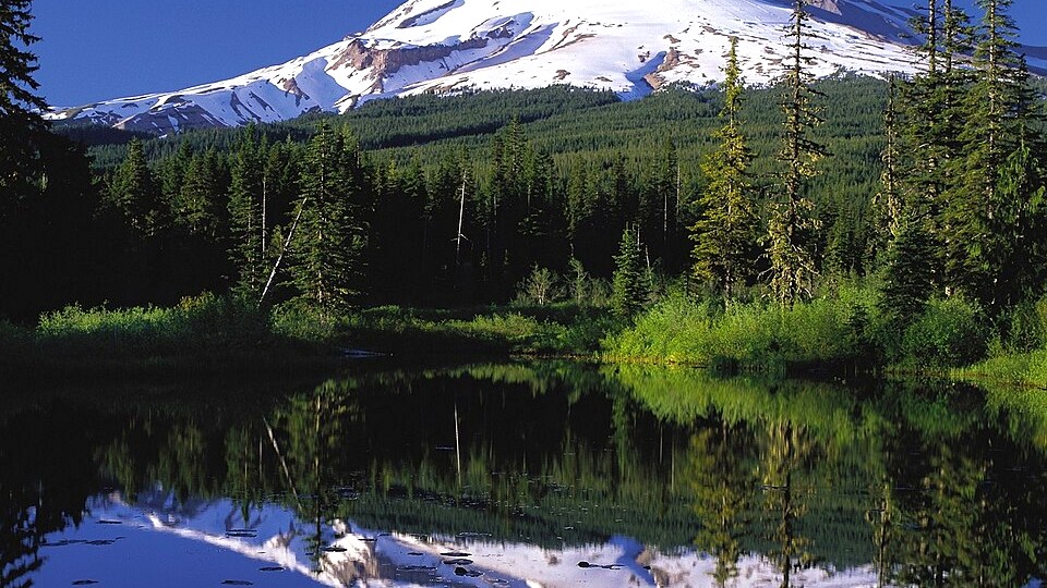 Mirror Lake Trail, Oregon: Summer Hiking and Winter Snow Travel