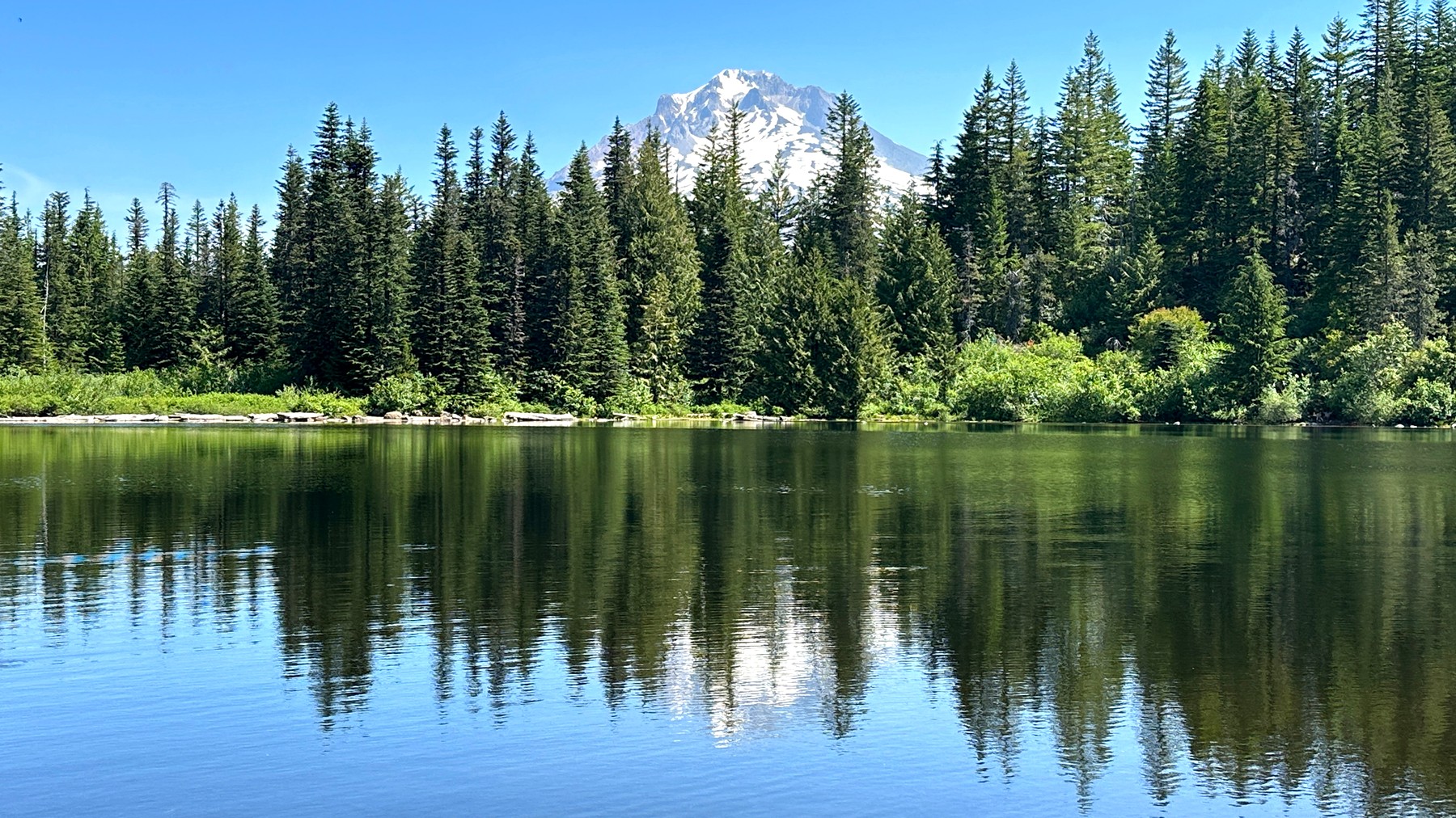 Sunny summer view across Mirror Lake toward Mount Hood