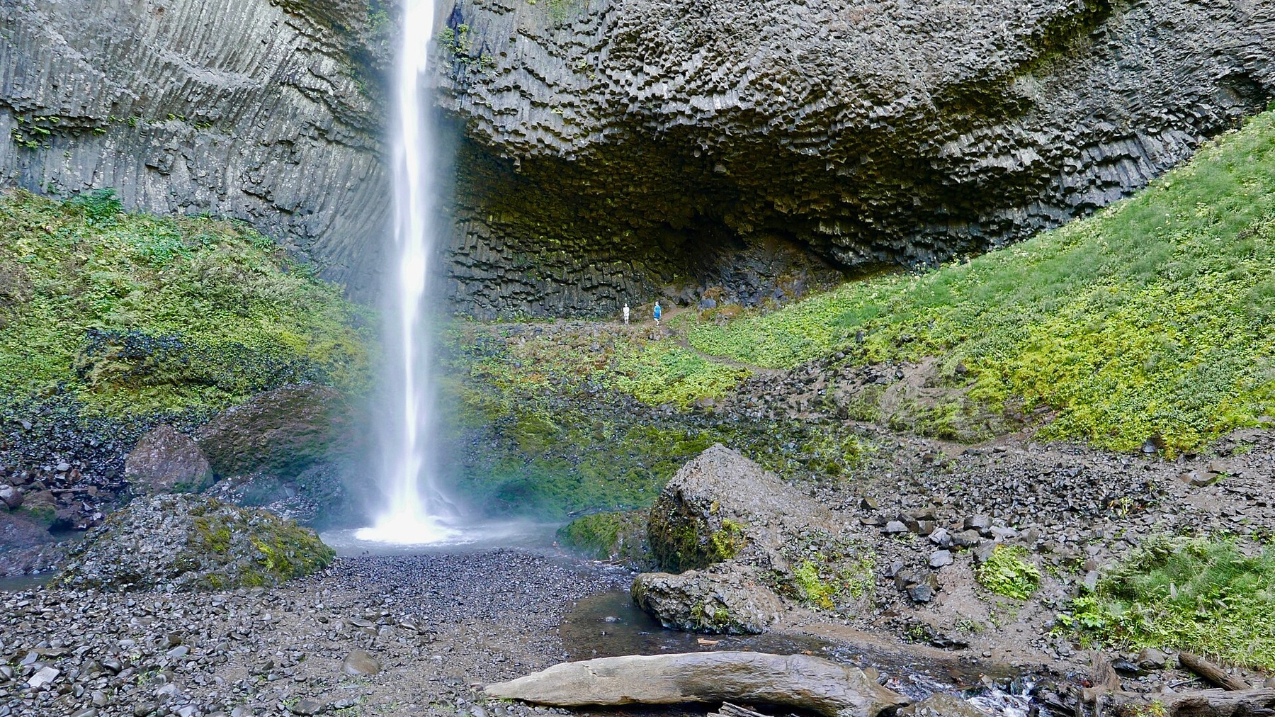 Latourell Falls dropping beside sunlit green basalt