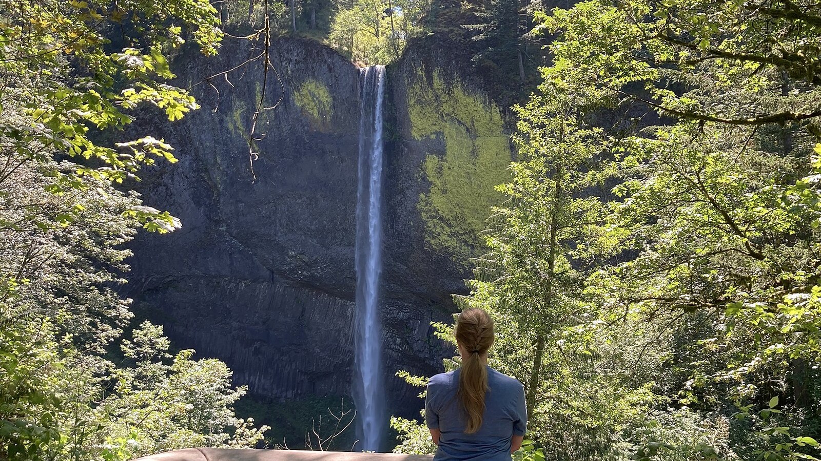 Upright view from the Latourell Falls trailhead area beside the Historic Columbia River Highway