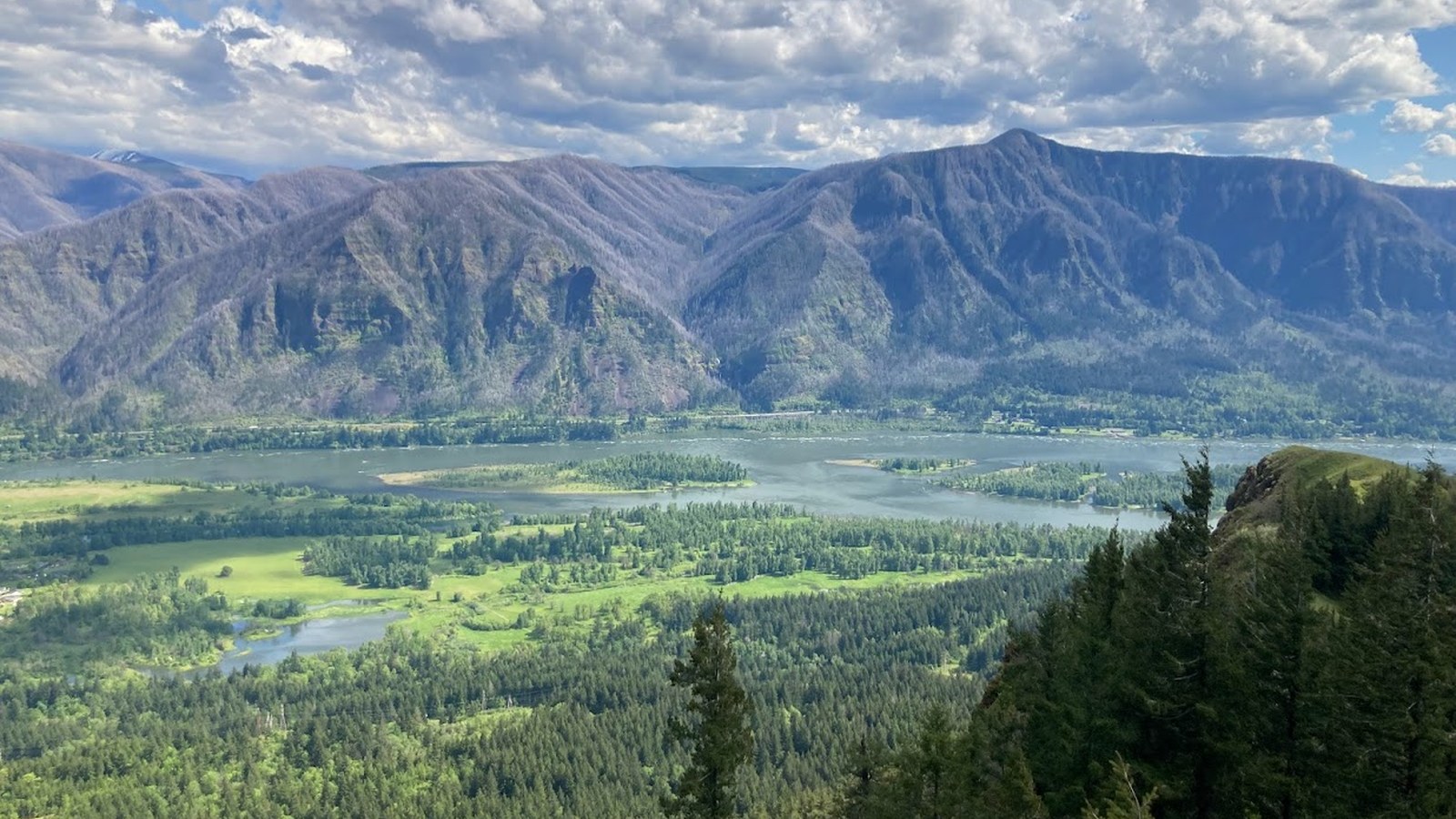Columbia River Gorge view from Hamilton Mountain