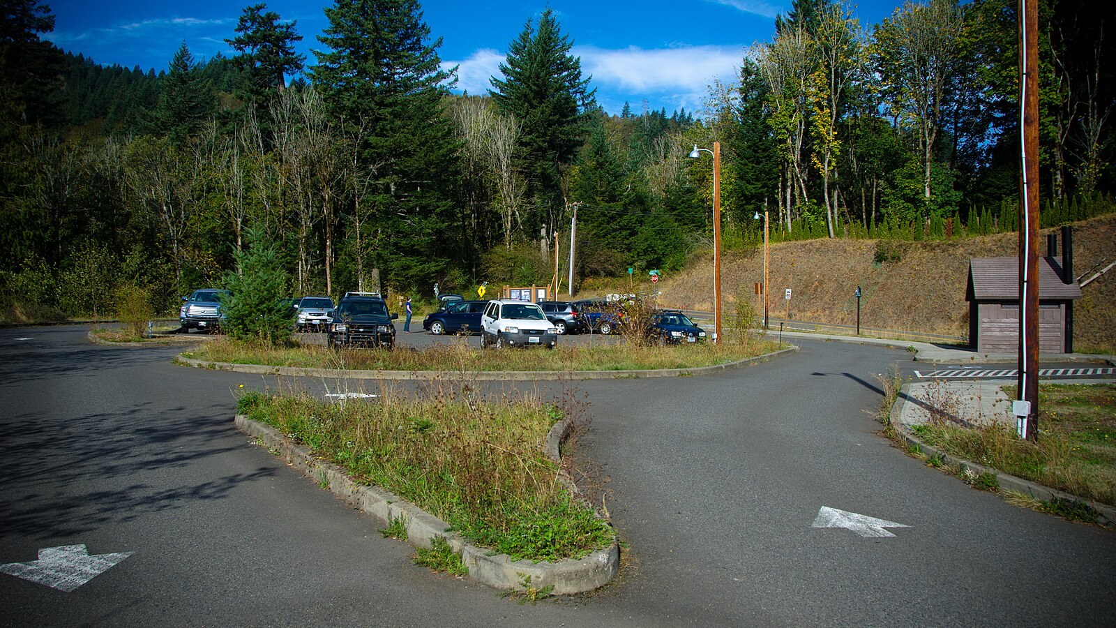 Designated parking at the Cape Horn trailhead