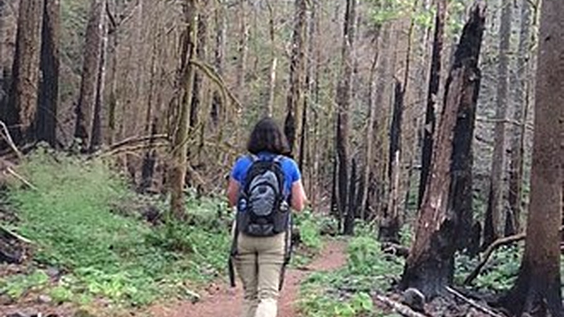 Hiker on the Pacific Crest Trail in the Columbia Gorge
