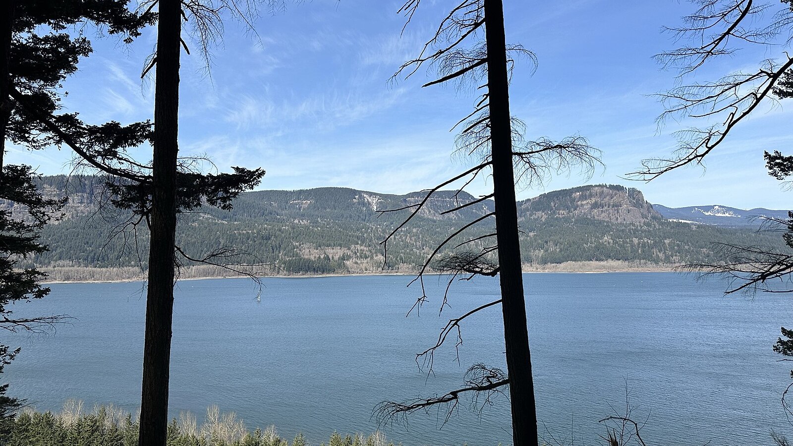 Columbia River view from Larch Mountain Trail 441