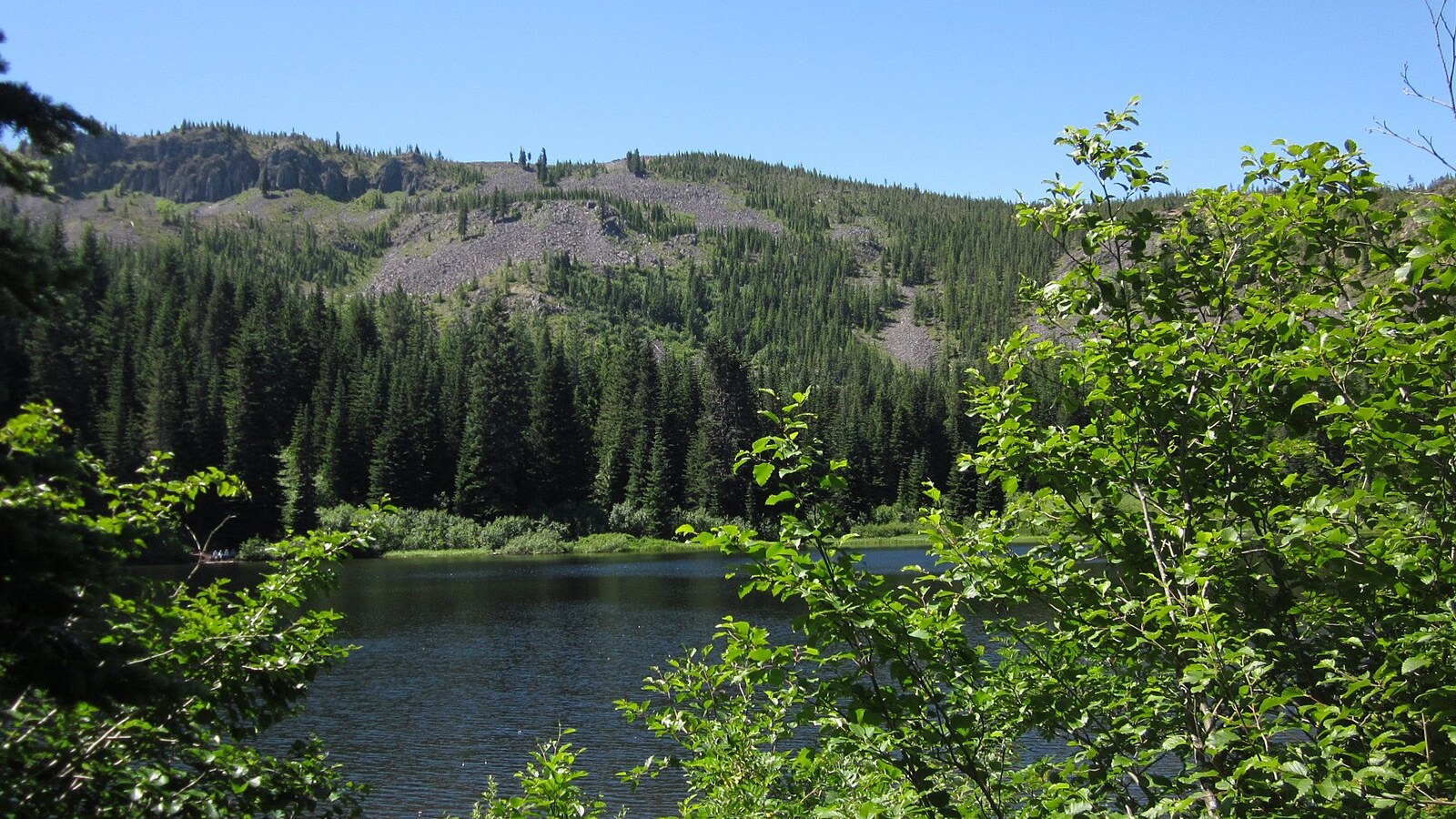 Hikers on Tom Dick and Harry Mountain terrain