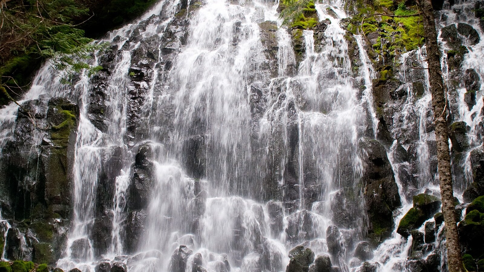 Ramona Falls cascading over mossy basalt