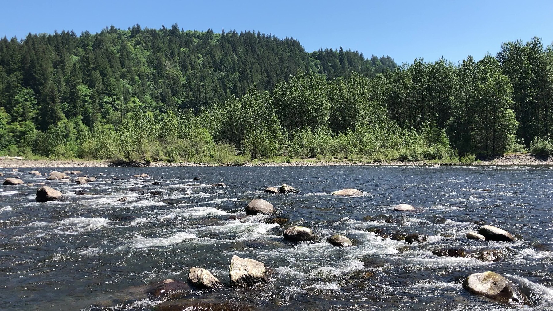 Sunny spring water and rocks along the Sandy River