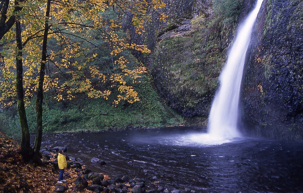 Horsetail Falls: Roadside View, Ponytail Falls Hike, and Current Trail Access
