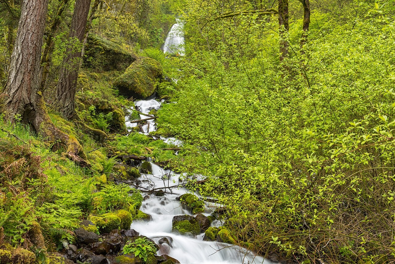 Water flowing over rocks in Wahkeena Creek below the falls