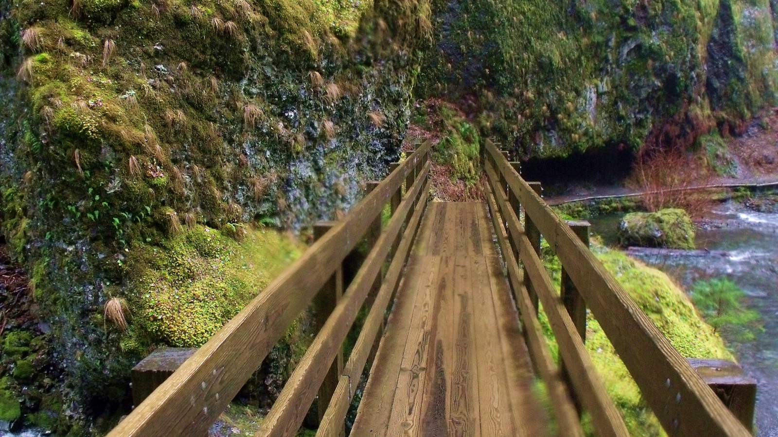 A wooden footbridge on the forested Wahclella Falls Trail beside Tanner Creek.